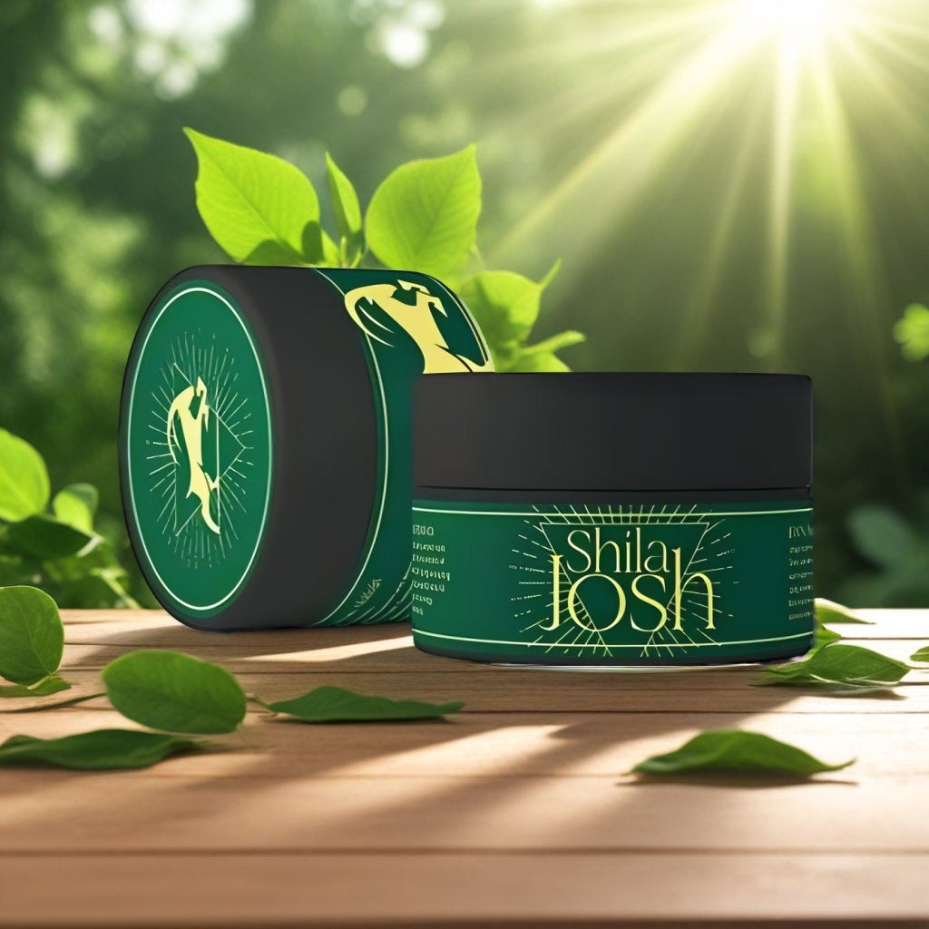 SHILAJOSH (PROSTATITIS) (LOW PRICE)